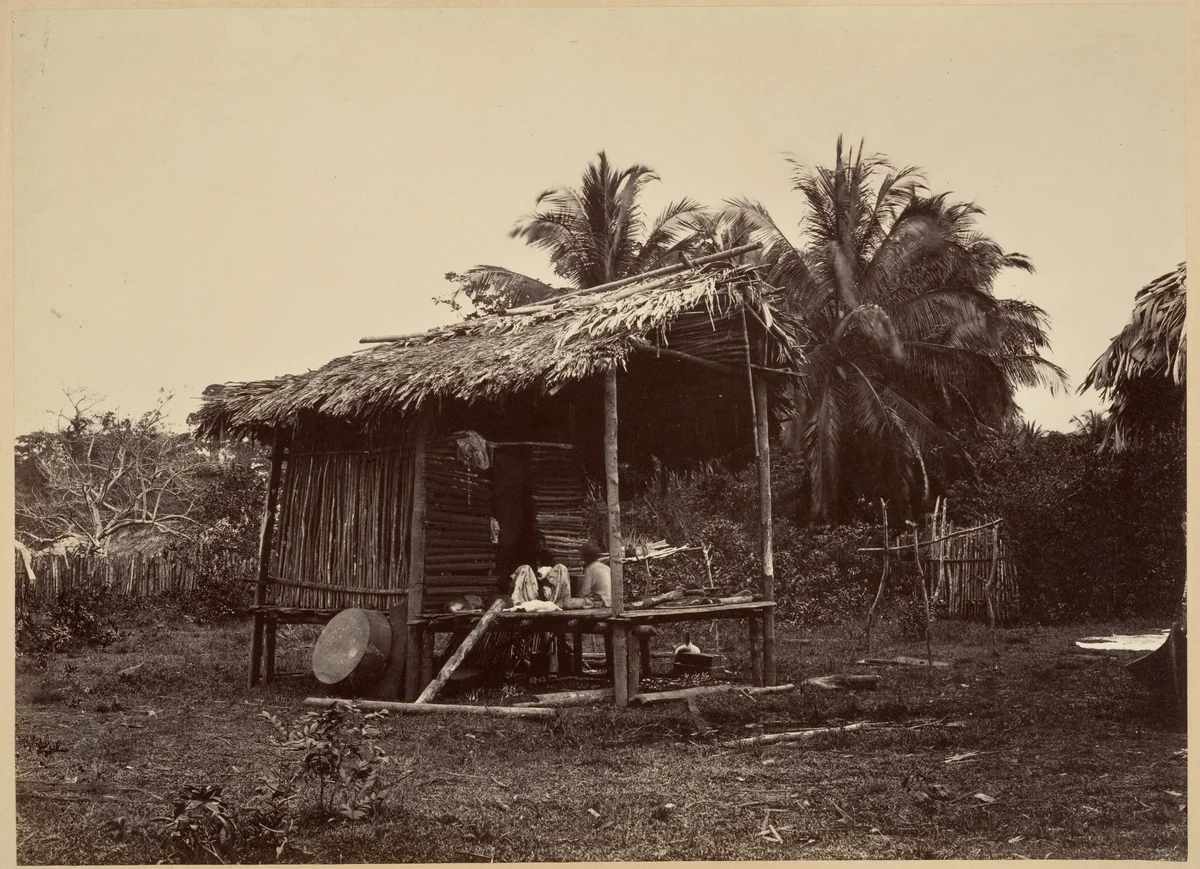 Tropical Scenery, Native Hut, Turbo by John Moran, photograph, 1871
