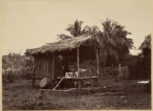 Tropical Scenery, Native Hut, Turbo by John Moran, photograph, 1871