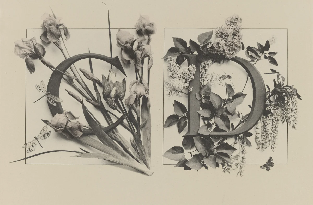 Page from Festons und Dekorative Gruppen by Unidentified Photographer, photograph, 1893