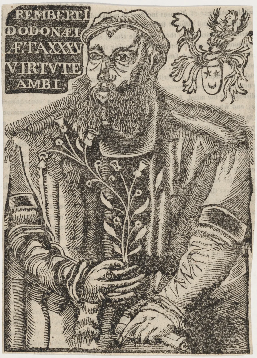 Rembret Dodoens by Unknown 19th Century, print, 1800-1899