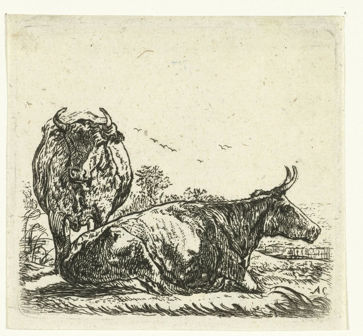 Twee koeien by anonymous, print, 1630-1691