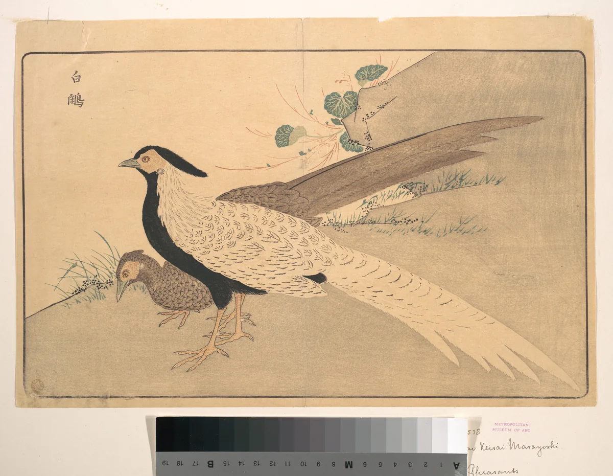 Bai xian by Kuwagata Keisai (鍬形蕙斎), print, 1789