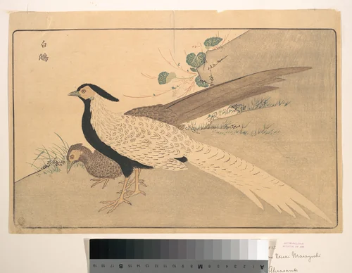 Bai xian by Kuwagata Keisai (鍬形蕙斎), print, 1789
