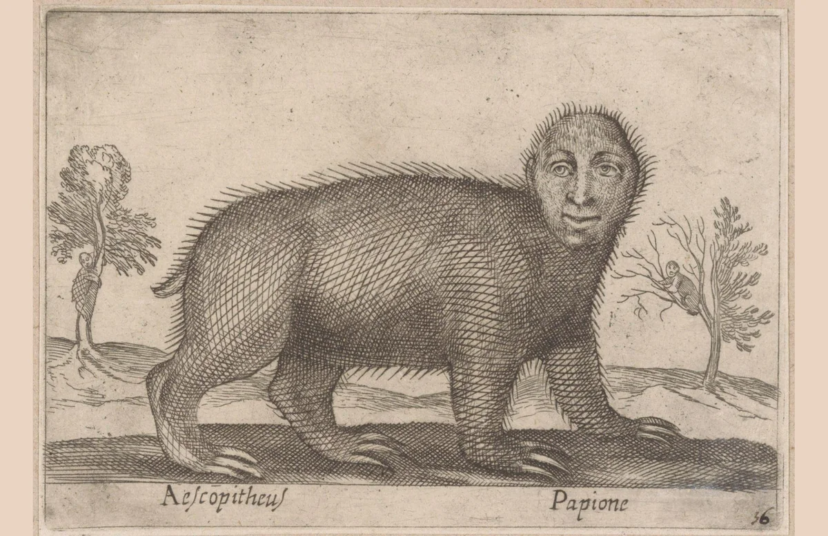 Luiaard by Antonio Tempesta, print, 1565-1630