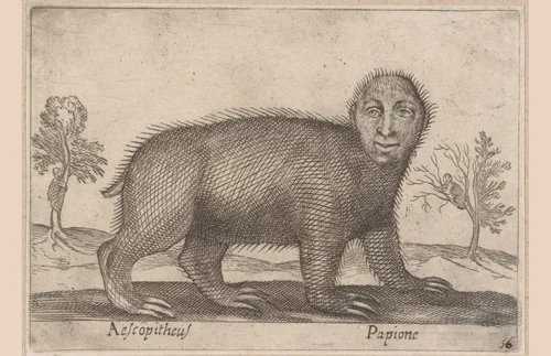 Luiaard by Antonio Tempesta, print, 1565-1630