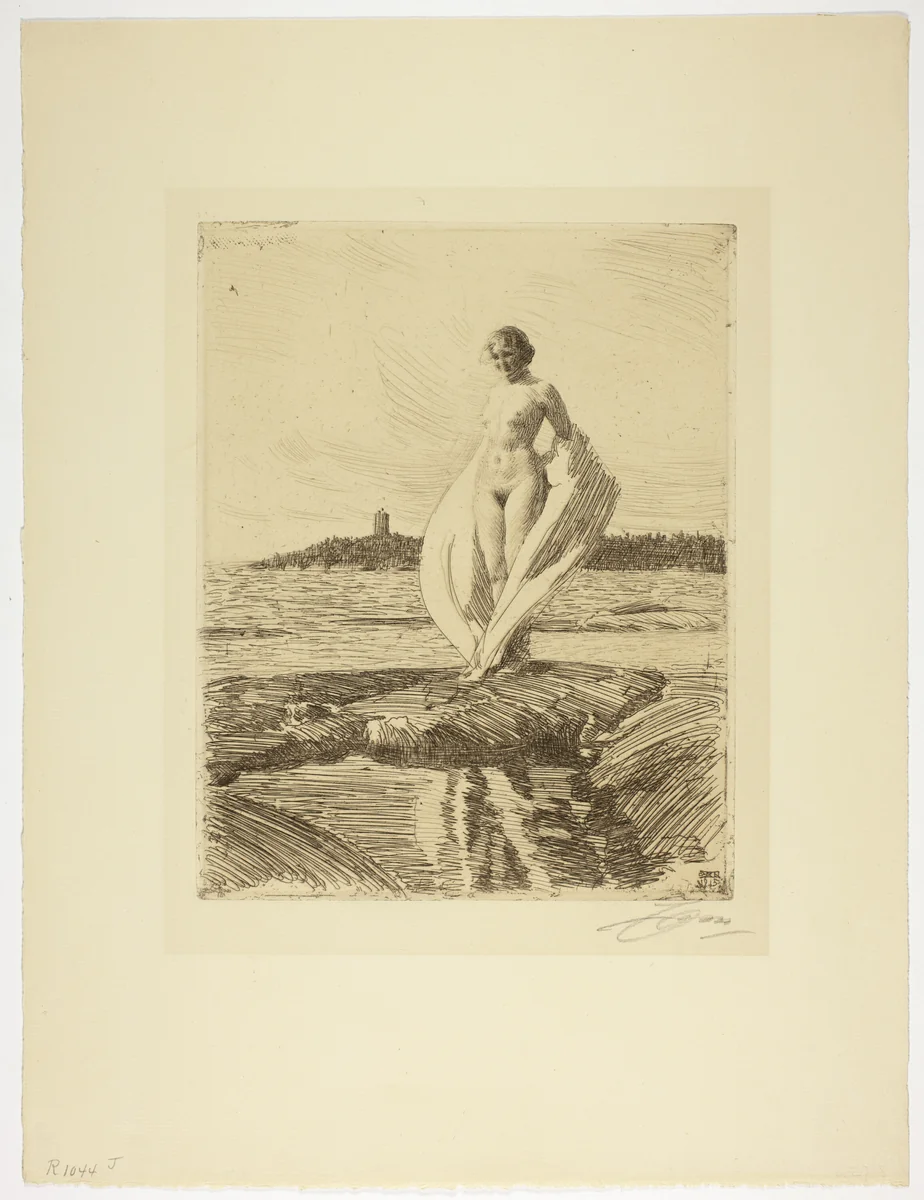 The Swan by Anders Zorn, print, 1915