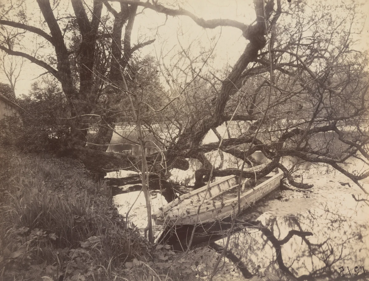 Etang, Ville-d'Avray by Eugène Atget, photograph, 1923