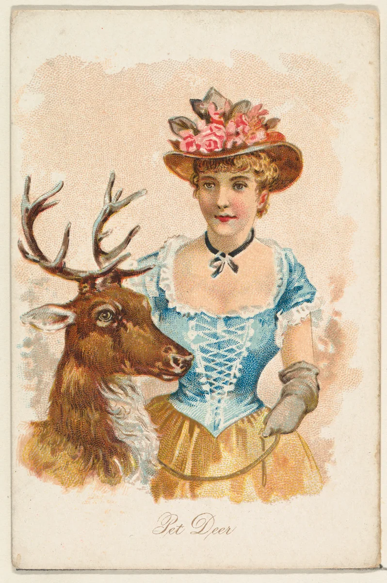 Pet Deer, from the Household Pets series (N194) issued by Wm. S. Kimball & Co. by William S. Kimball & Company, print, 1891