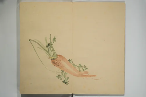 Untitled Picture Album of Twenty-five Watercolor Paintings by Nishiyama Hōen (西山芳園), book, 1807-1867