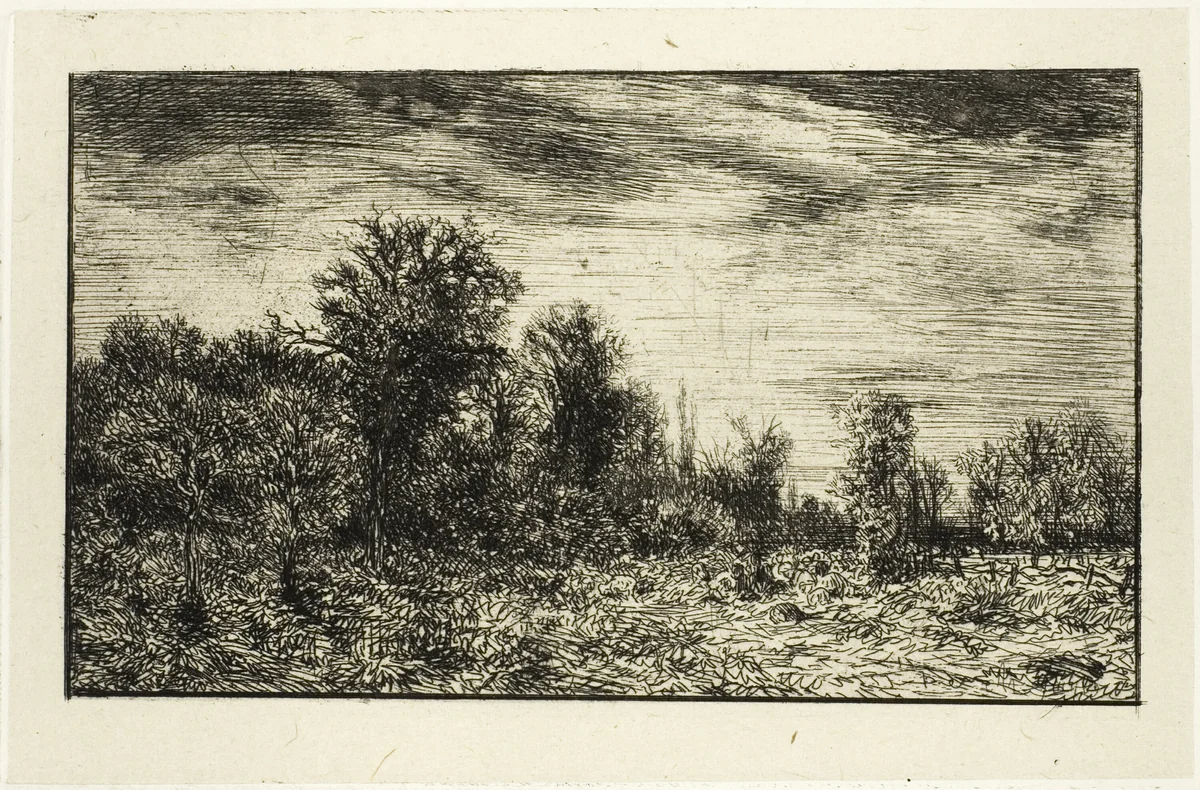 Edge of a Wood, under Cloudy Sky by Charles-Émile Jacque, print, 1846