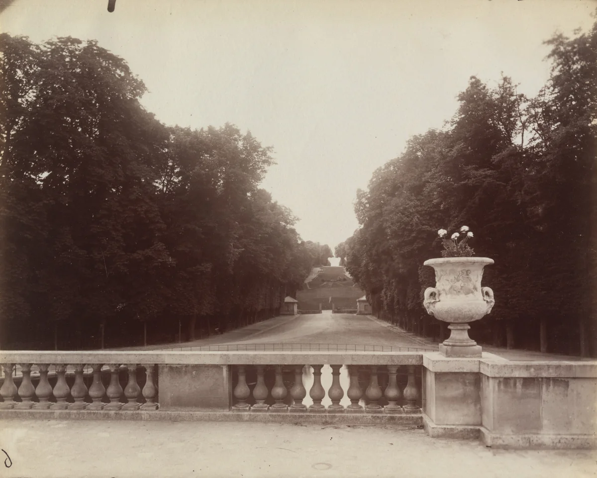 Saint-Cloud by Eugène Atget, photograph, 1904