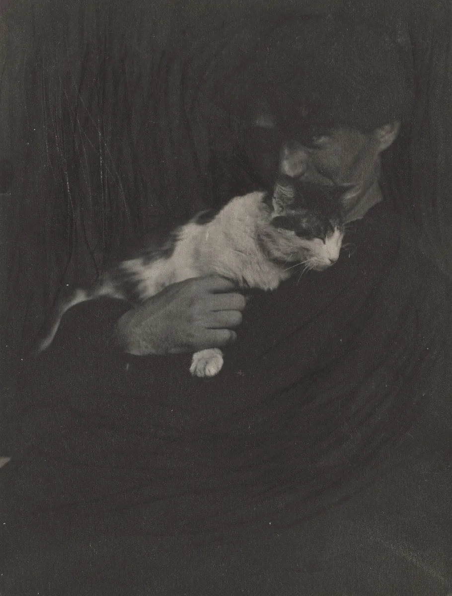 Portrait of Edward Steichen with cat by Gertrude Käsebier, photograph, 1901