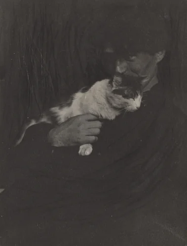 Portrait of Edward Steichen with cat by Gertrude Käsebier, photograph, 1901