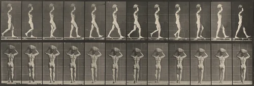 Plate Number 27. Walking and carrying a 75-lb. stone on head, hands raised by Eadweard Muybridge, photograph, 1887