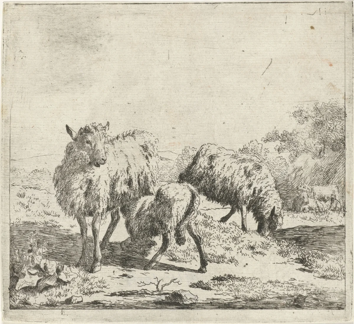 Twee schapen en een lam by anonymous, print, 1673-1705
