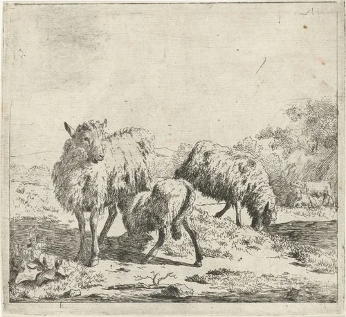 Twee schapen en een lam by anonymous, print, 1673-1705