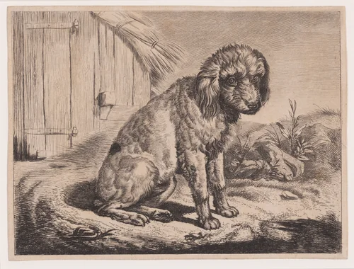 Sitting Dog by Johann Adam Klein, print, 1827-1837