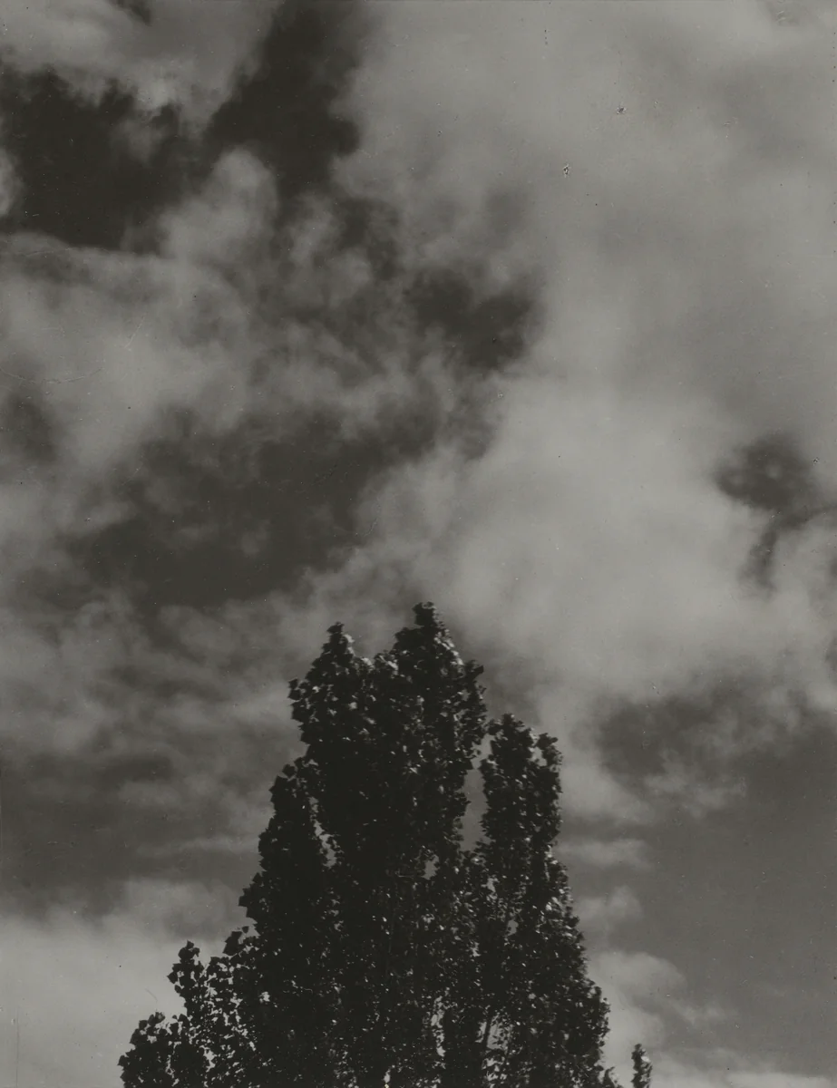 Portrait—K.N.R., No. 6 or Songs of the Sky C6 by Alfred Stieglitz, photograph, 1923