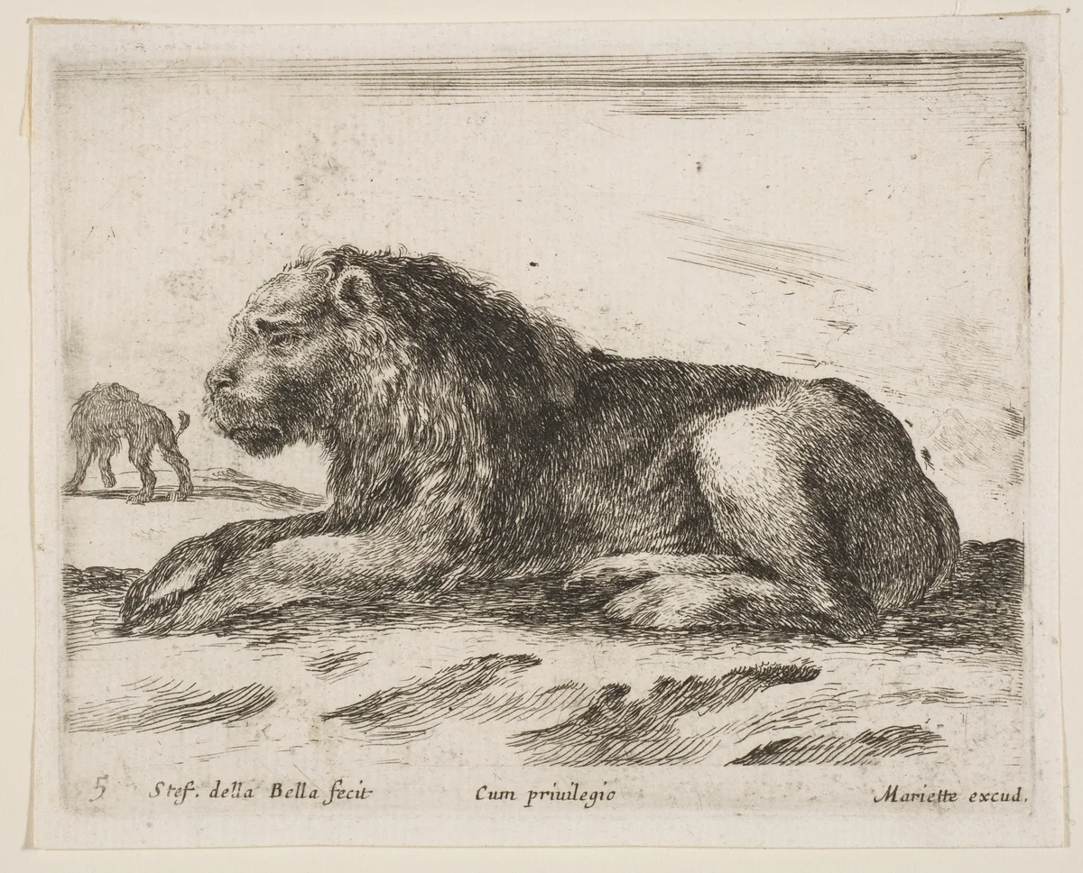 Reclining lion, plate 5 from "Various Animals" (Diversi Animali) by Stefano della Bella, print, 1641