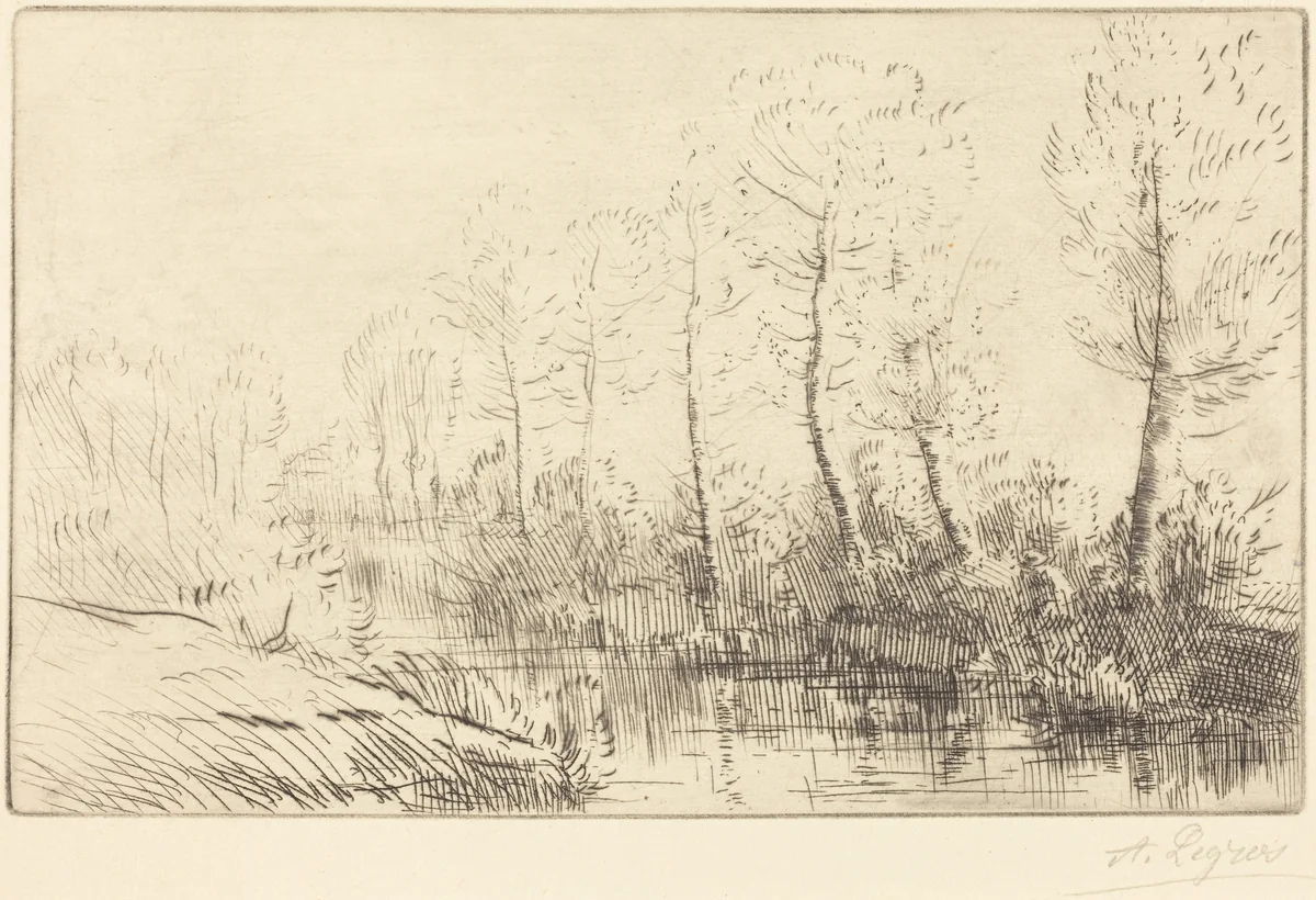 Birch Trees: Water's Edge Seen in Morning Light (Les bouleaux: Bord de l'eau, effet du matin by Alphonse Legros, print, 1837-1911