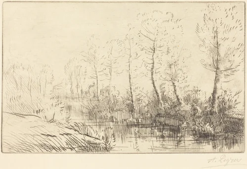 Birch Trees: Water's Edge Seen in Morning Light (Les bouleaux: Bord de l'eau, effet du matin by Alphonse Legros, print, 1837-1911