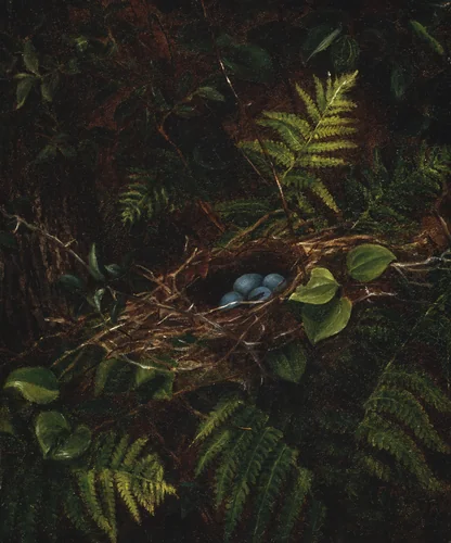 Bird's Nest and Ferns by Fidelia Bridges, painting, 1863