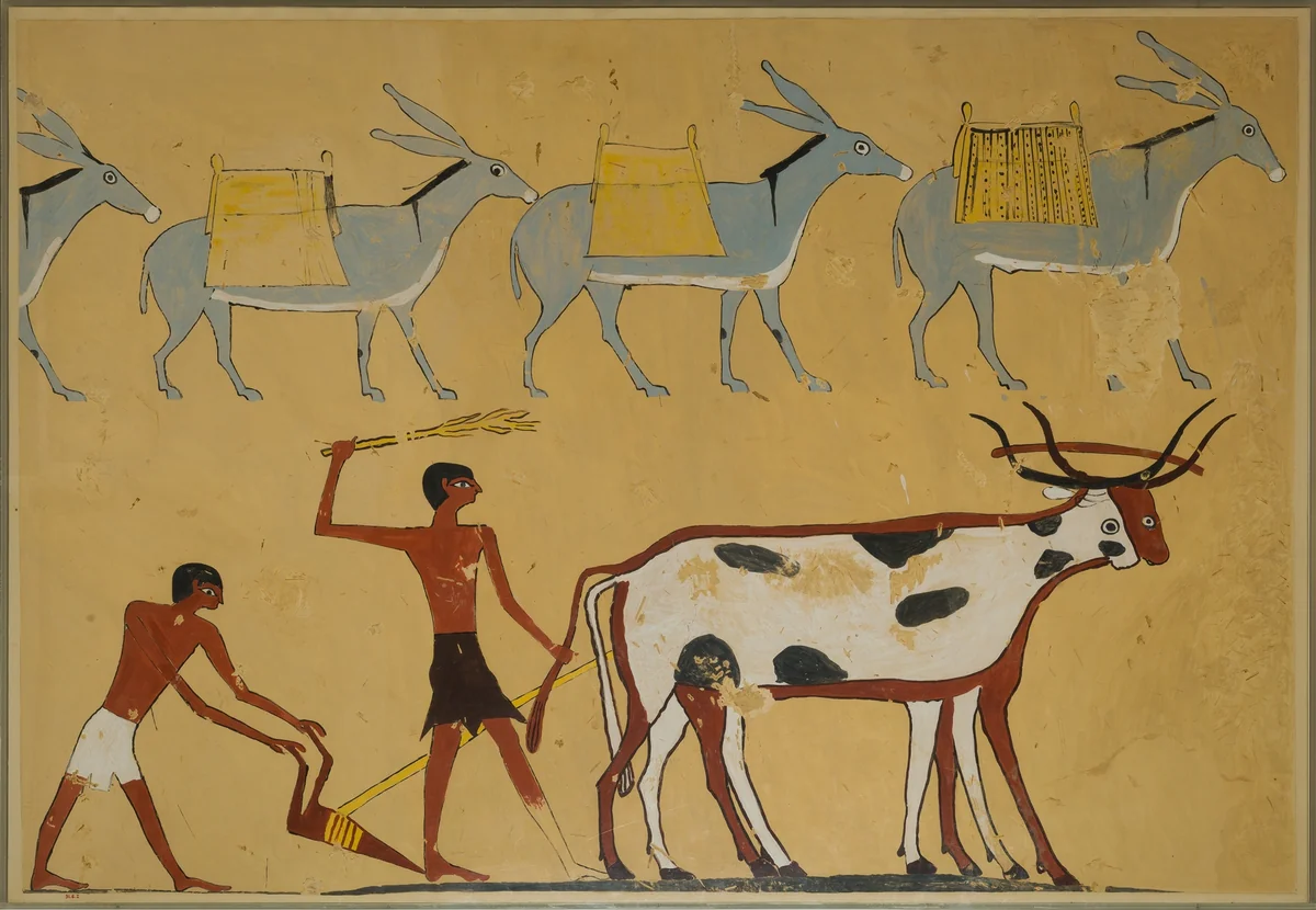 Laden Donkeys and Ploughing, Tomb of Djar by Nina de Garis Davies, artwork, -2060--2010