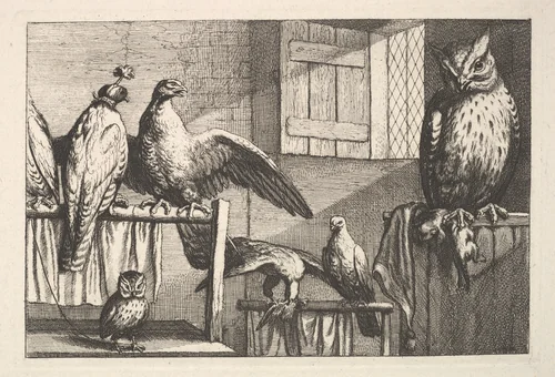 Hawks and owls by Wenceslaus Hollar, print, 1654-1658