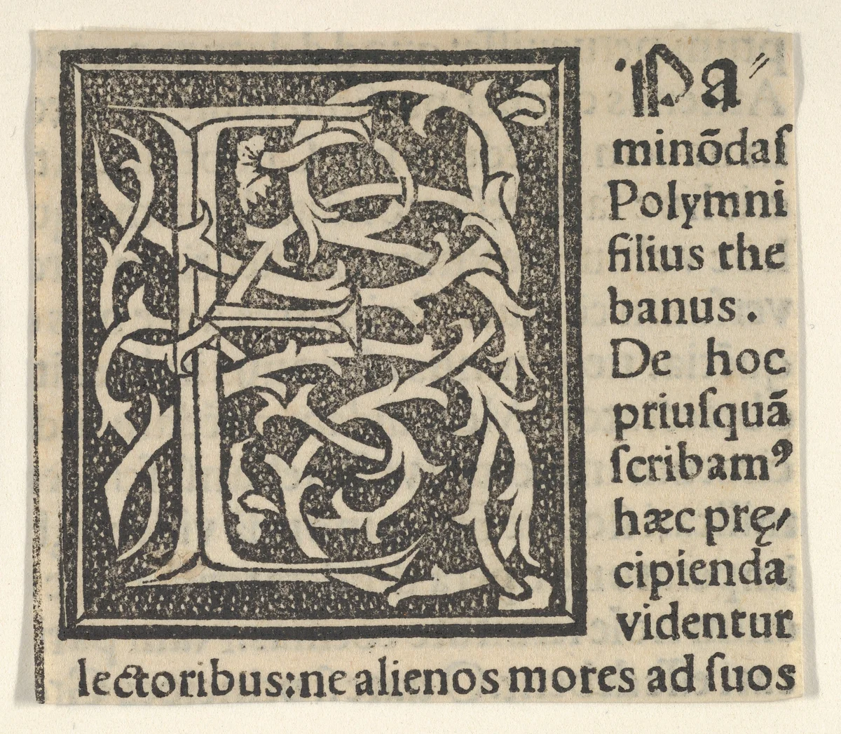 Initial letter E on patterned background by anonymous, print, 1520