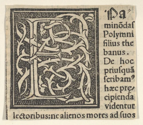 Initial letter E on patterned background by anonymous, print, 1520