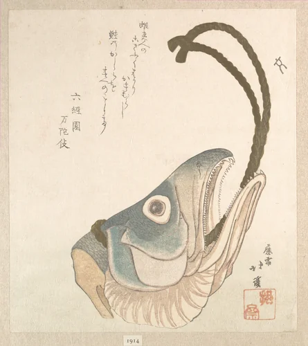 Head of a Salmon by Totoya Hokkei (魚屋北渓), print, 1810-1830