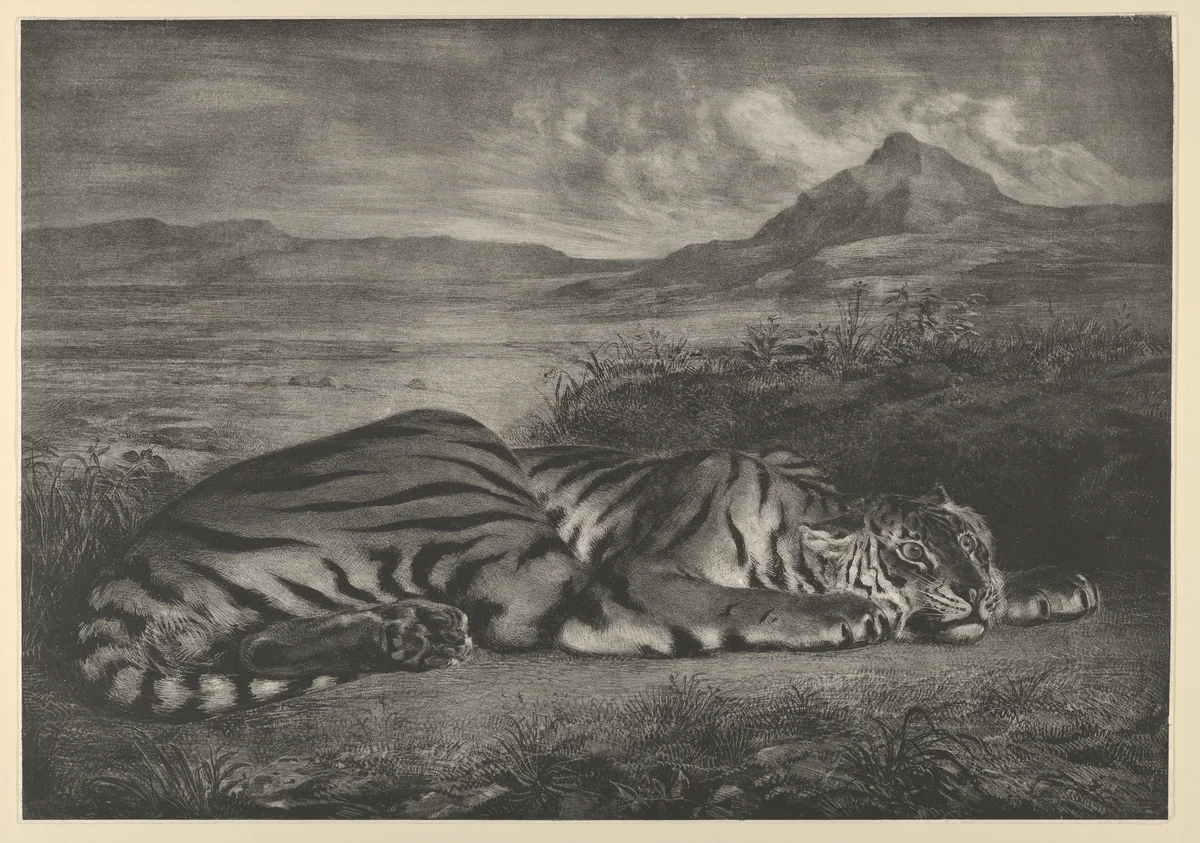 Royal Tiger by Eugène Delacroix, print, 1829