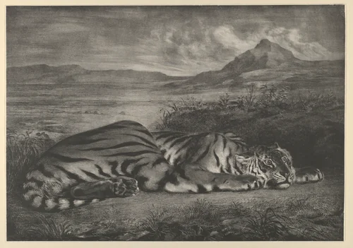 Royal Tiger by Eugène Delacroix, print, 1829