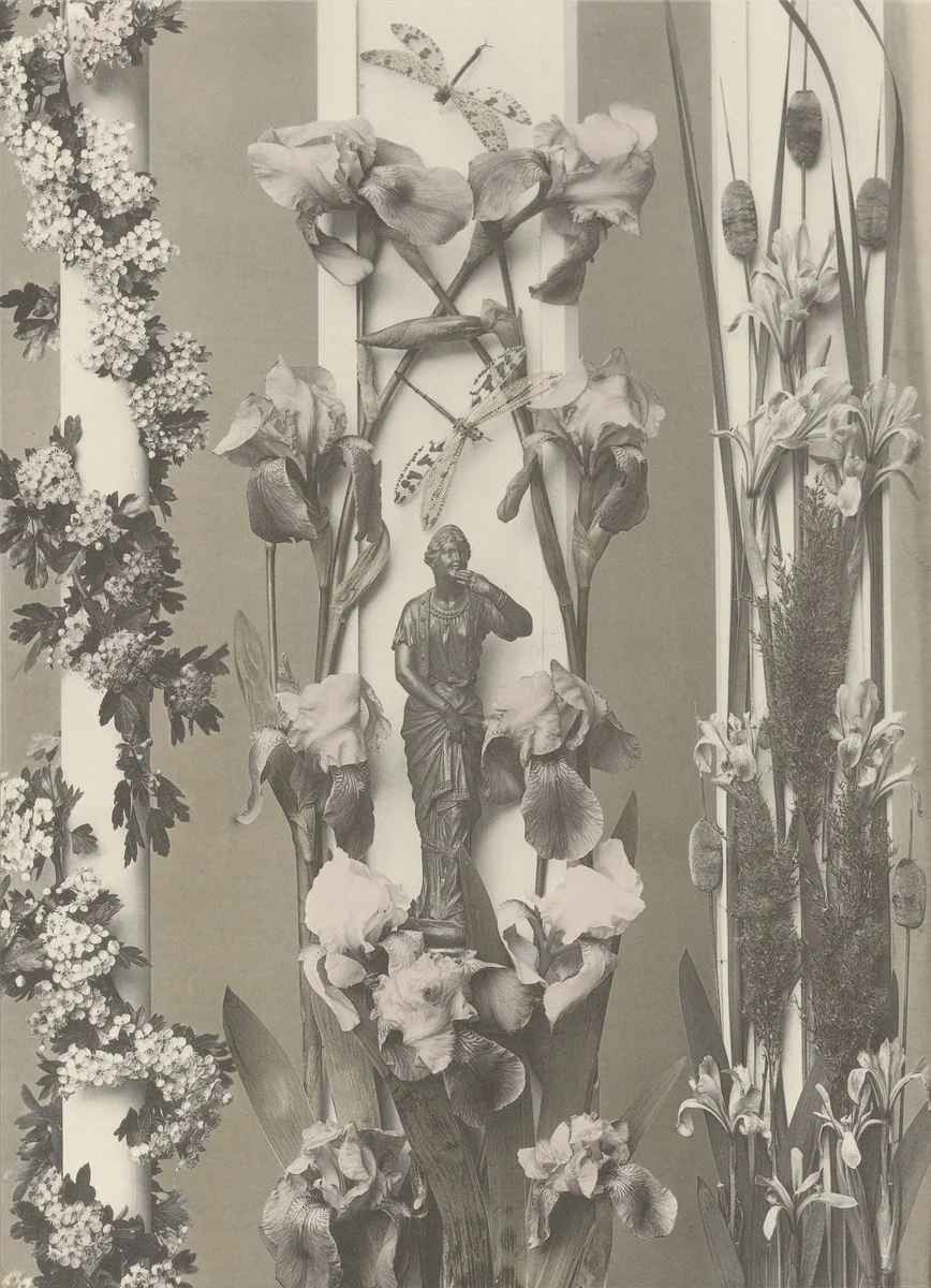 Page from Festons und Dekorative Gruppen by Unidentified Photographer, photograph, 1893