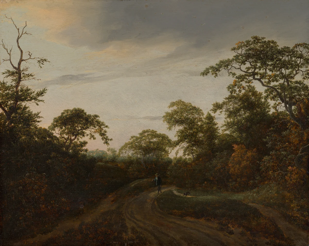 Road through a Wooded Landscape at Twilight by Jacob van Ruisdael, painting, 1648