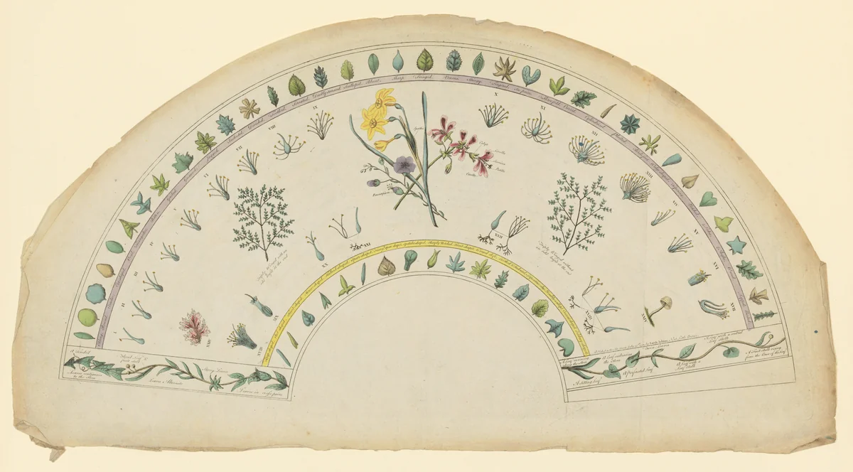 Fan leaf adorned with botanical designs by Sarah Ashton, print, 1792