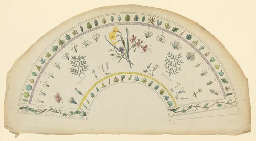Fan leaf adorned with botanical designs by Sarah Ashton, print, 1792