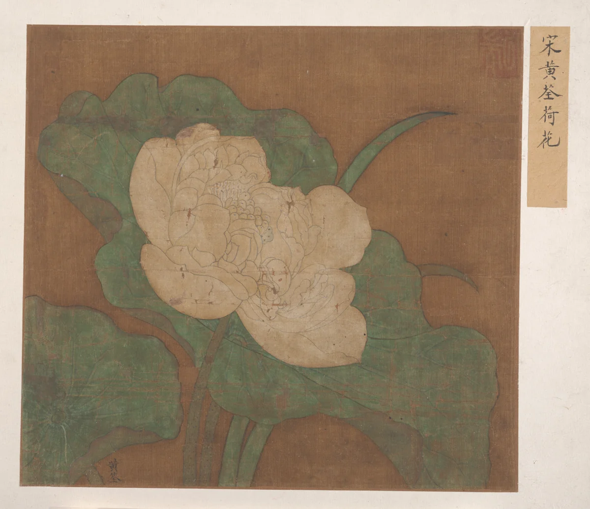 Lotus by Unidentified Artist, painting, 1368-1644