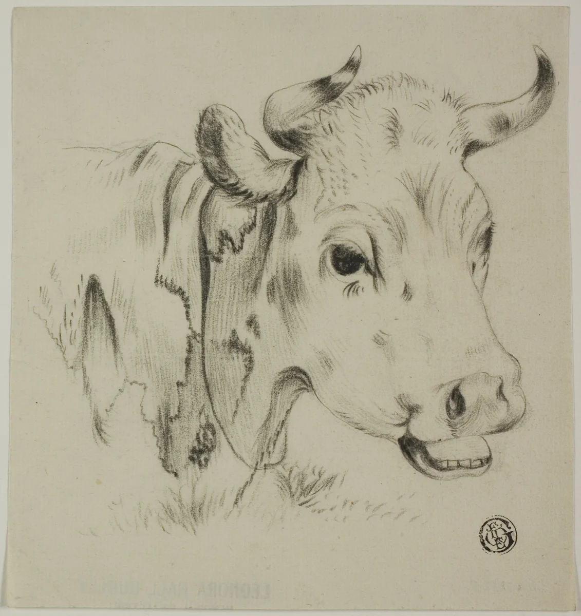 Cow's Head by Unknown Artist, drawing, 1800-1899