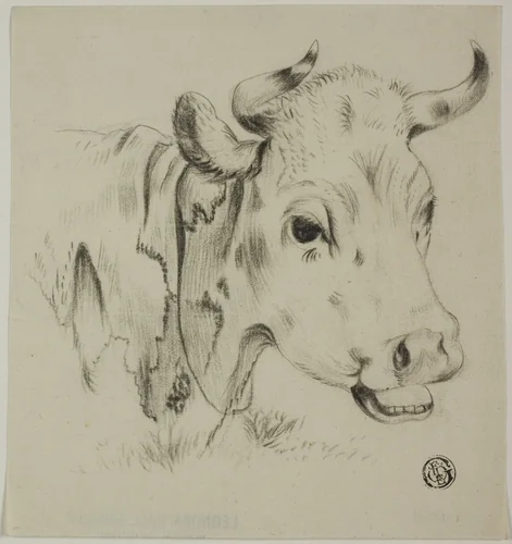 Cow's Head by Unknown Artist, drawing, 1800-1899