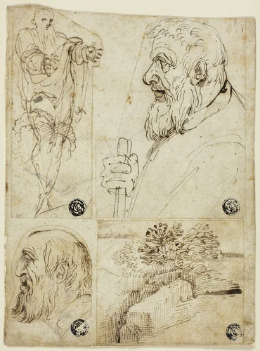 Four Sketches: Standing Male Figure; Profile Bust of Bearded Man; Profile Head of Bearded Man; Landscape by Agostino Carracci, drawing, 1577-1602