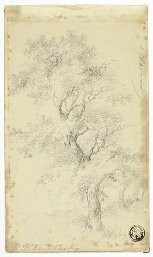 Merron by Hendrik Pieter Koekkoek, drawing, 1872-1883