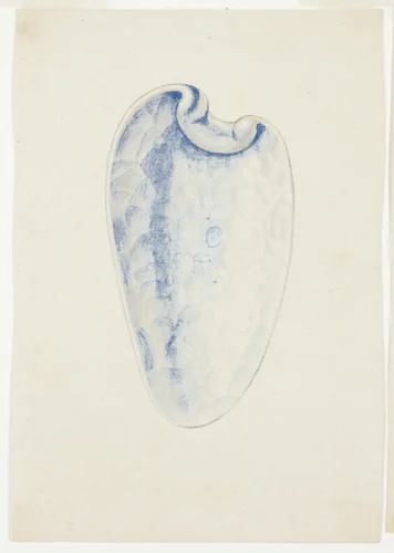 Overview of Lavender Elongated Shell by Giuseppe Grisoni, painting, 1719-1769