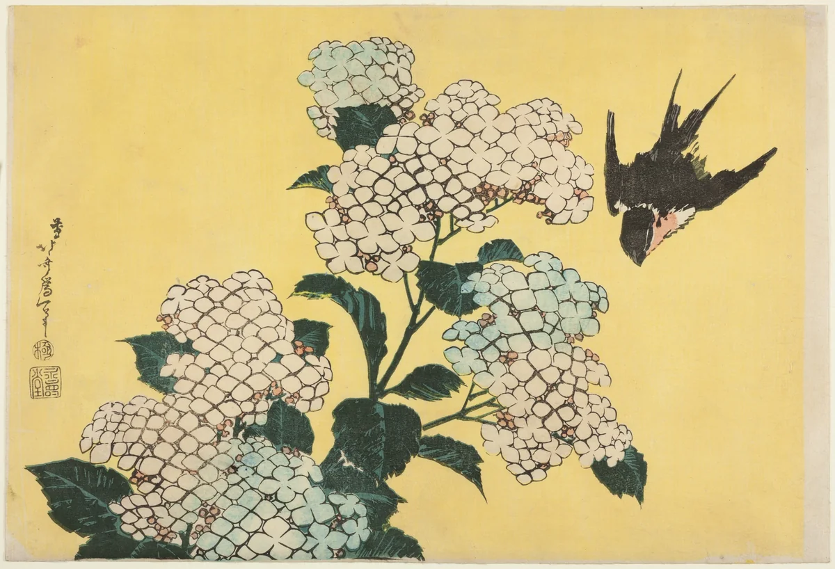 Hydrangea and Swallow, from an untitled series of large flowers by Katsushika Hokusai (葛飾 北斎), print, 1828-1838
