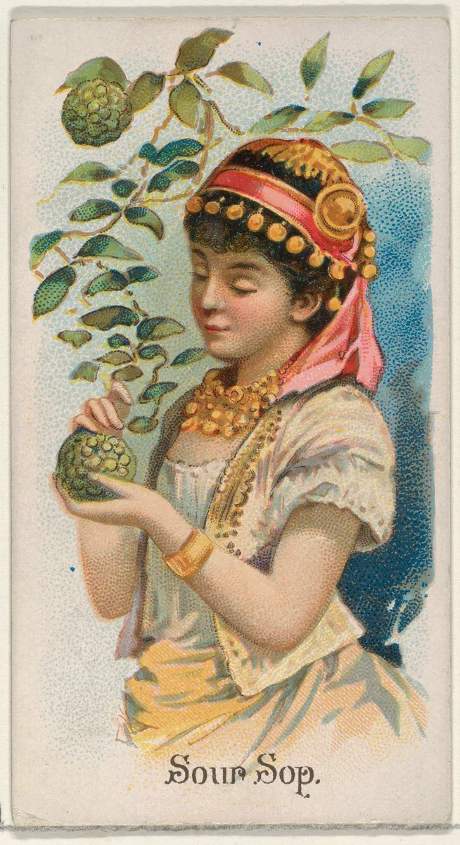 Sour Sop, from the Fruits series (N12) for Allen & Ginter Cigarettes Brands by Allen & Ginter, print, 1891