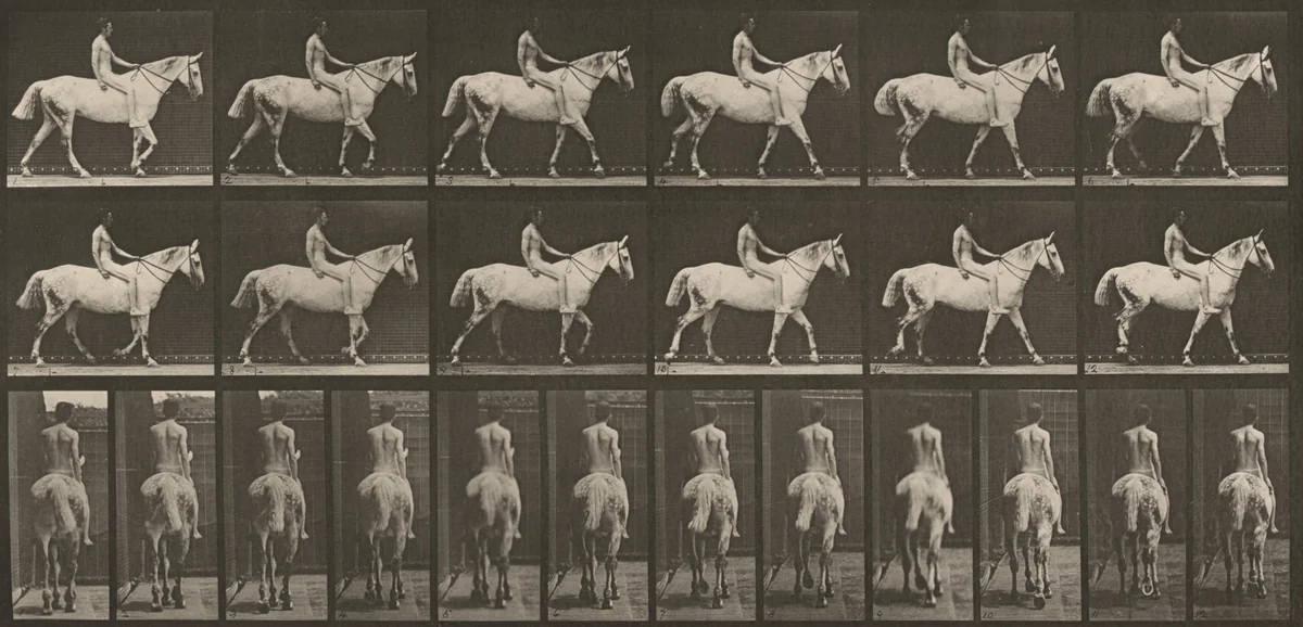 Plate Number 581. "Smith" walking, bareback; rider nude by Eadweard Muybridge, photograph, 1887