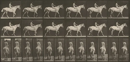 Plate Number 581. "Smith" walking, bareback; rider nude by Eadweard Muybridge, photograph, 1887