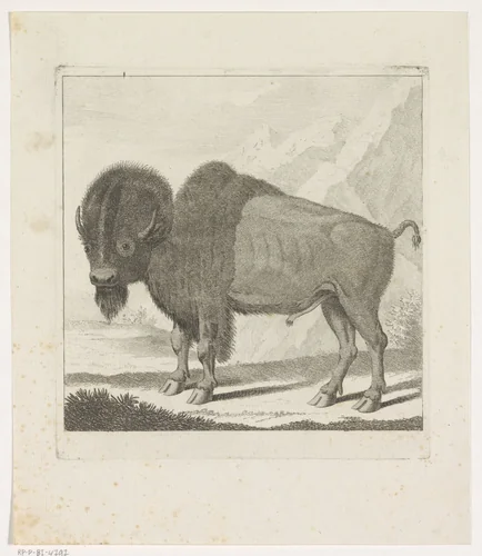 Bizon by anonymous, print, 1735-1859