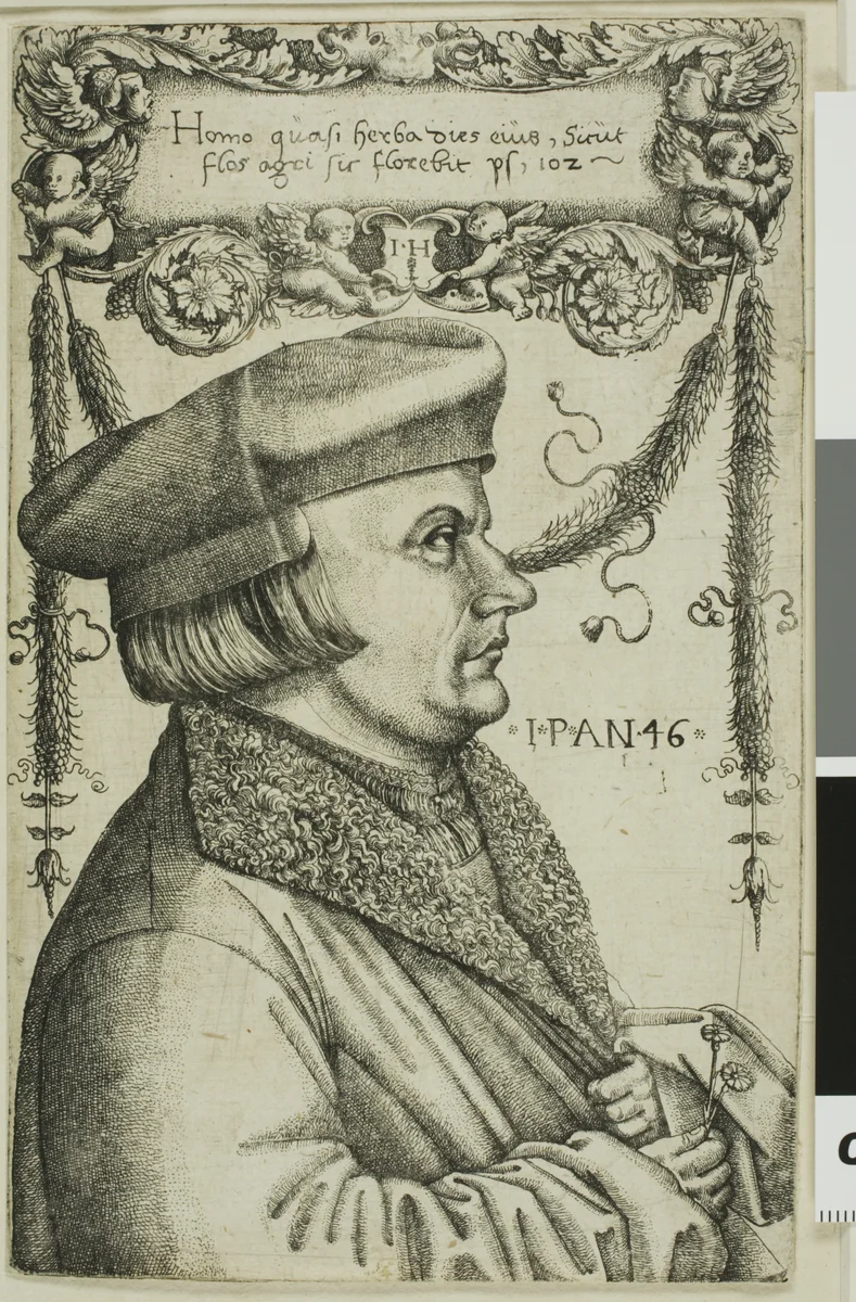Portrait of a Man by Hieronymous Hopfer, print, 1520-1550