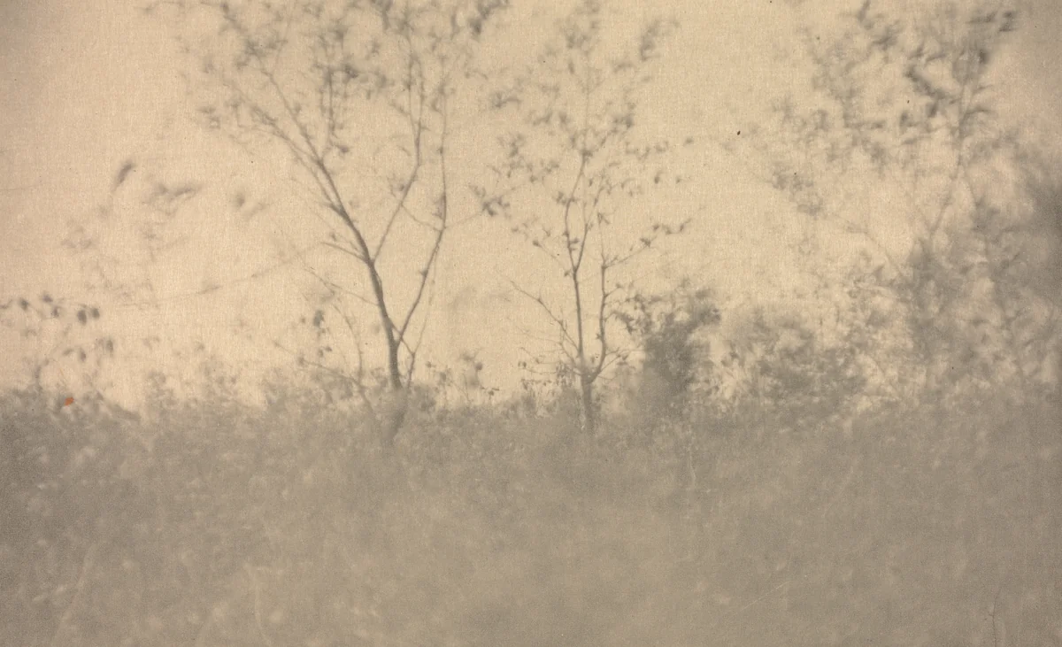 Camera Work: Spring by Joseph T. Keiley, book, 1907